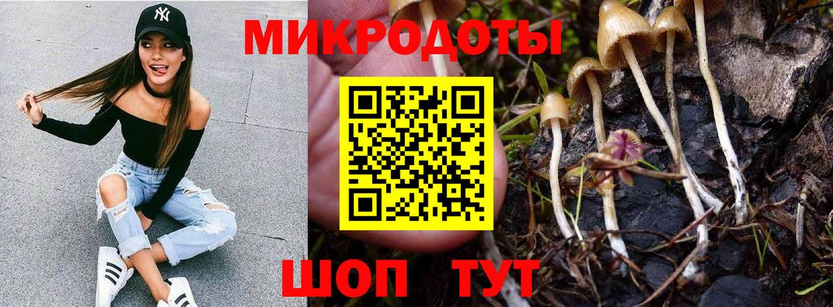Галлюциногенные грибы Psilocybe Электросталь